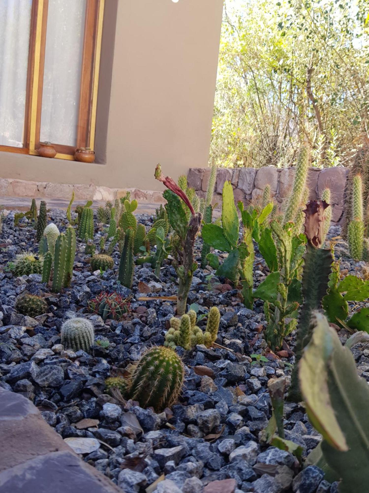 Tierra Primitiva Apartment Tilcara Exterior photo