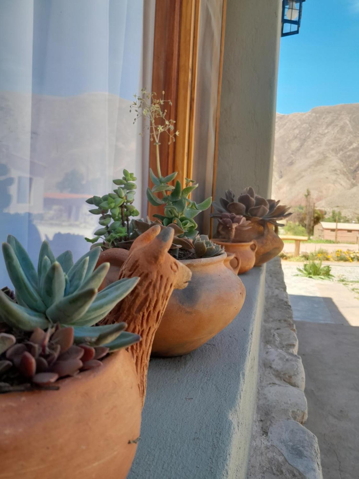 Tierra Primitiva Apartment Tilcara Exterior photo
