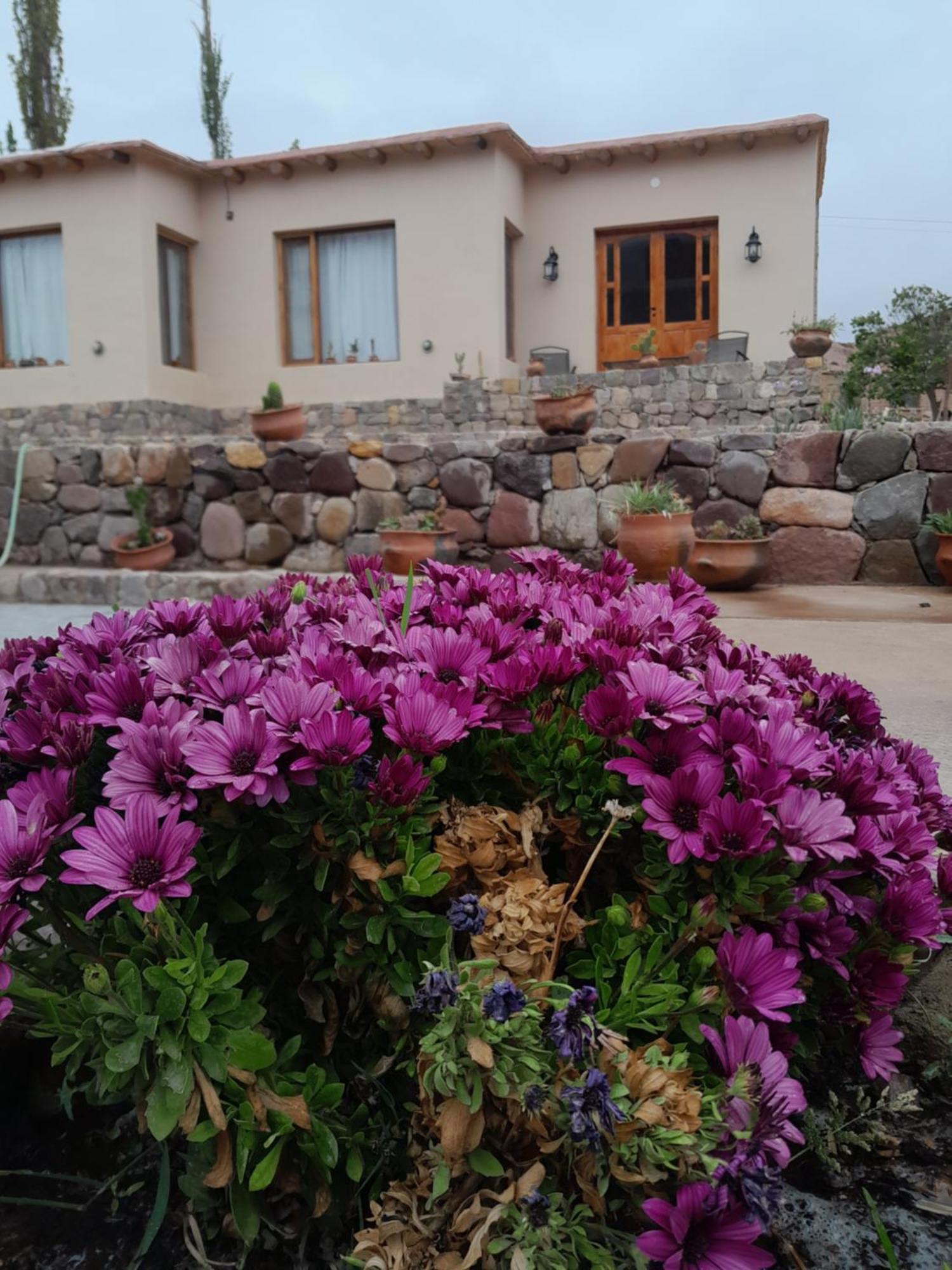 Tierra Primitiva Apartment Tilcara Exterior photo