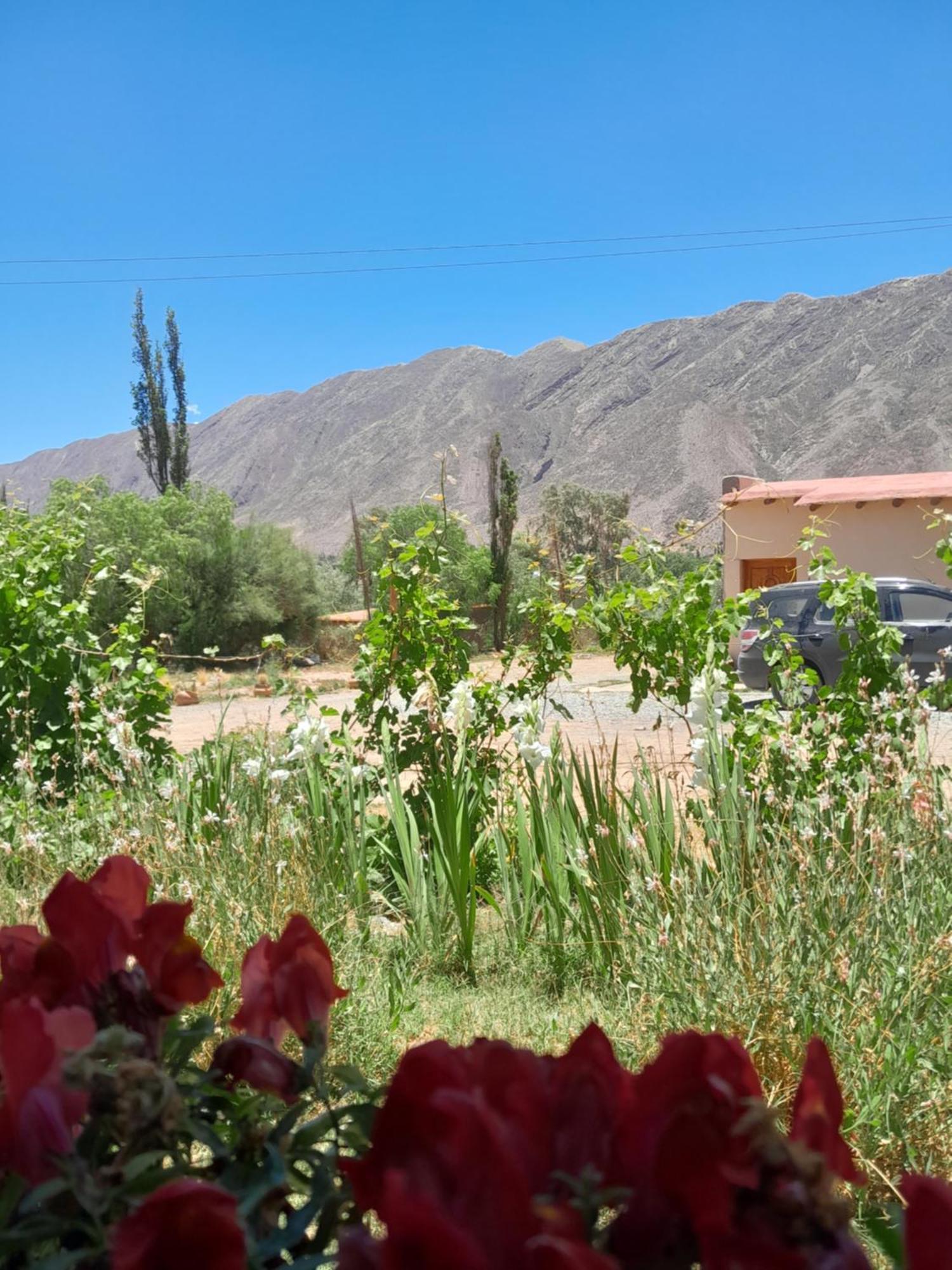 Tierra Primitiva Apartment Tilcara Exterior photo